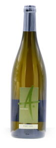 Pinot Gris