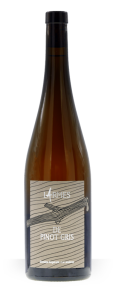 Pinot Gris Barrique